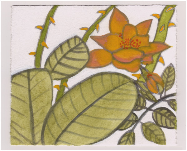 Curt's Roses This Evening. #975