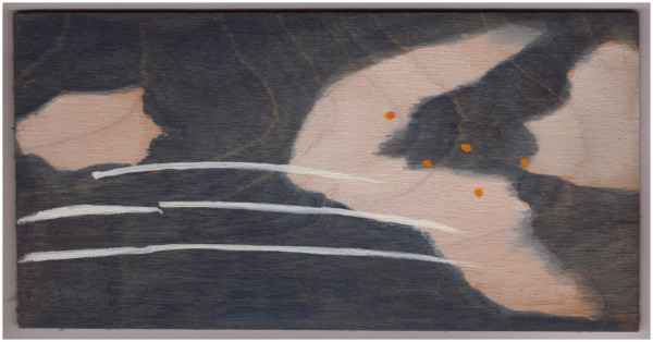 Three Perseid Meteors. #985