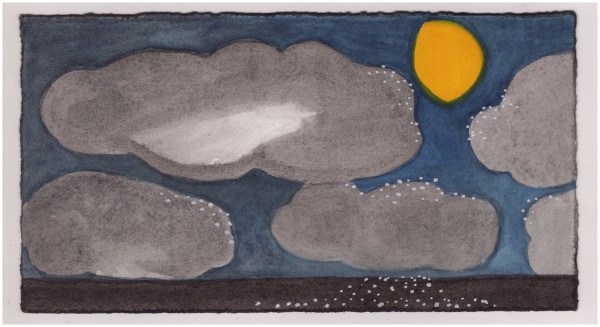 After the Storm Tonight. #989