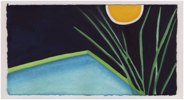 The Swimming Pool. #993