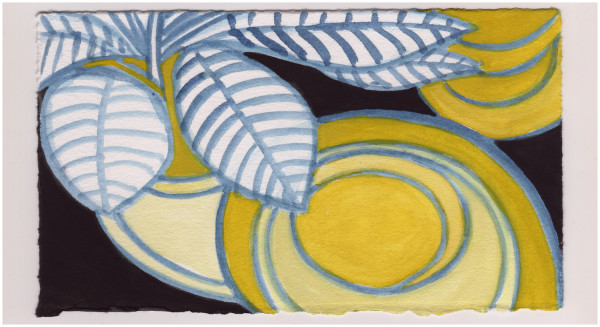 The Plants and Some Dishes. #1014