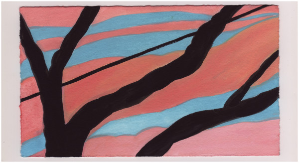 Through the Branches Tonight. #1016