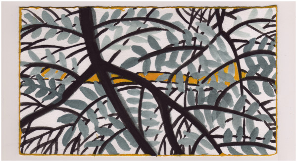 The Locust Tree. #1027