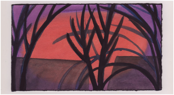 The Neighborhood at Sunset. #1028