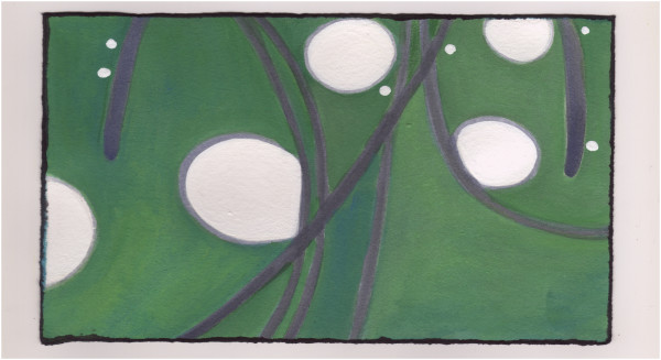 New Giant Puffballs in the Woods Across the Canal. #1049