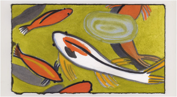 Swimming Around. #1054