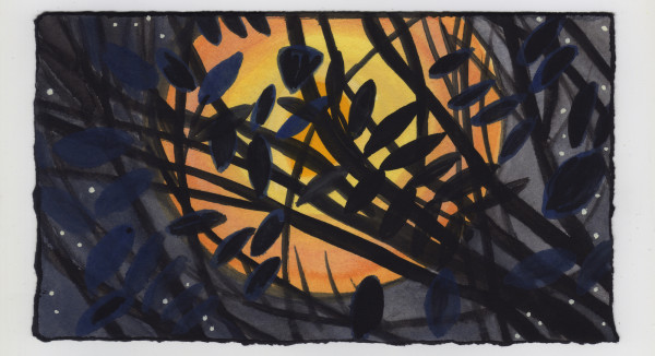 The Moon Through the Wisteria. #1077