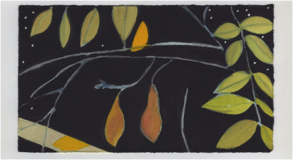 The Moon Through the Vines Tonight. #1102