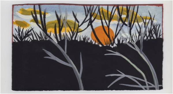 Late Afternoon Near Great Falls. #1105