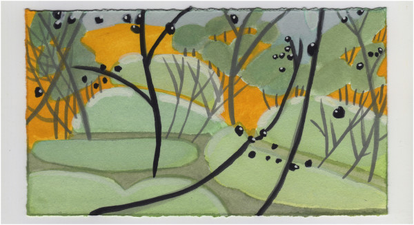 On Olmsted Island. #1112