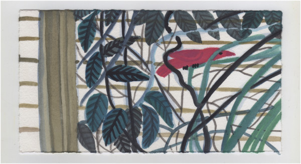 Out the Window. #1137