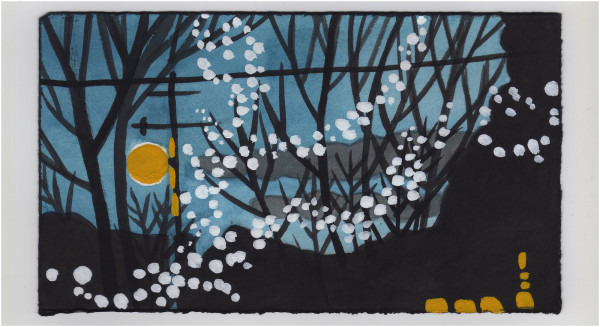 Still Some Holiday Lights. #1145