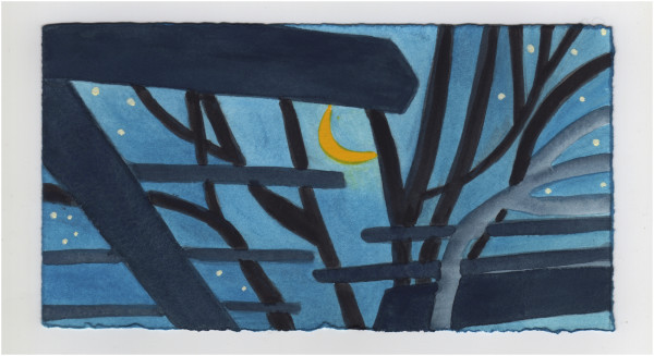 Early This Morning. #1179