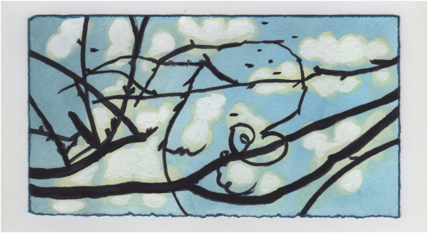 The Vines and the Sky Yesterday. #1181