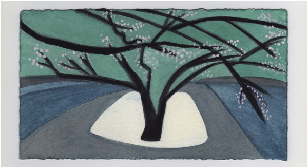 Cherry Blossoms Nearby. #1216