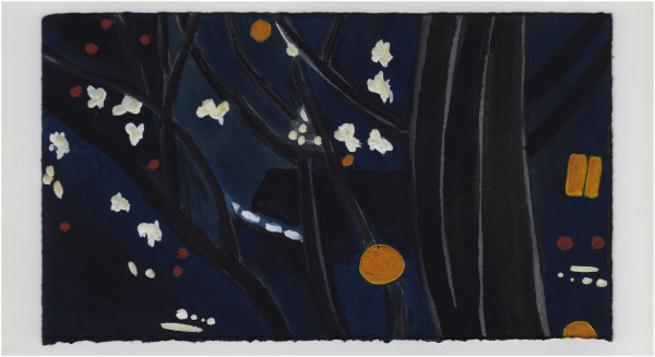 Some Moonlight Behind The Star Magnolias. #1221