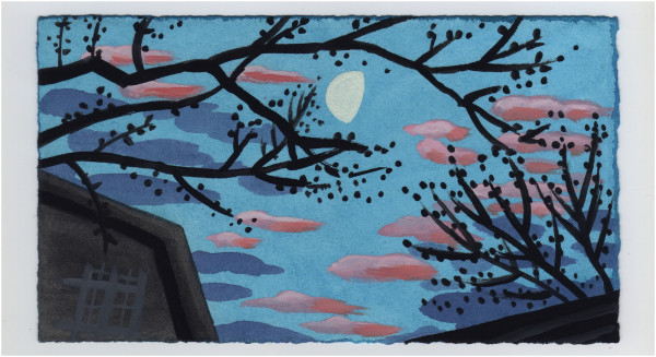 Early Morning. #1233