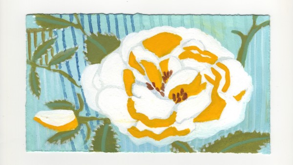 A White Rose Here. #1251