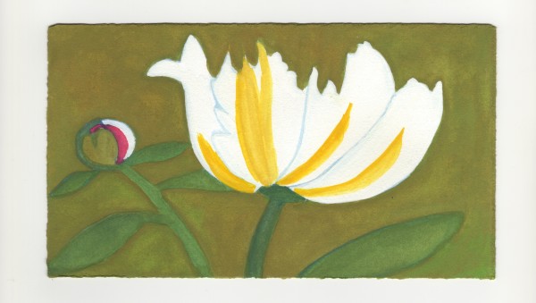 Peony and a Bud. #1256