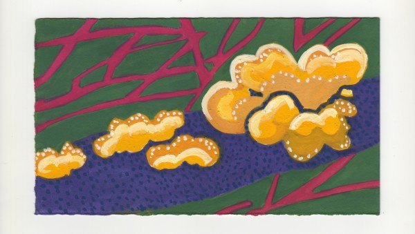 Witch's Butter on the Rose of Sharon. #1261