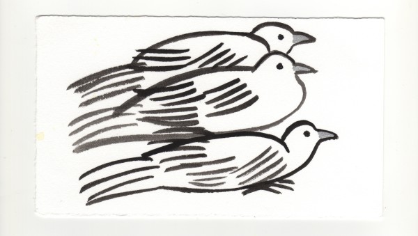 A Little Group. #1269