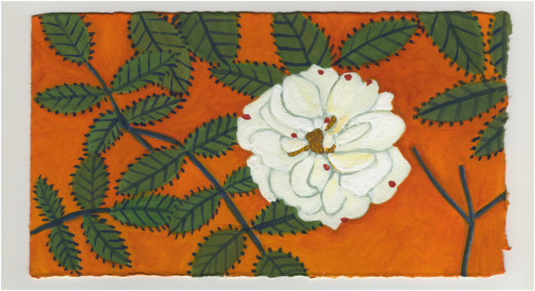 The Little Rose. #1284