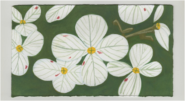 Hydrangea Flowers. #1285