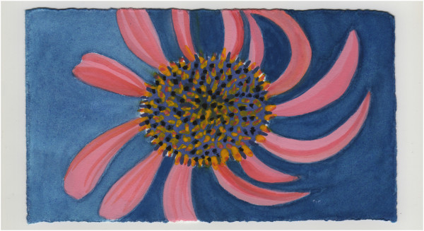 A Twirly Echinacea. #1307