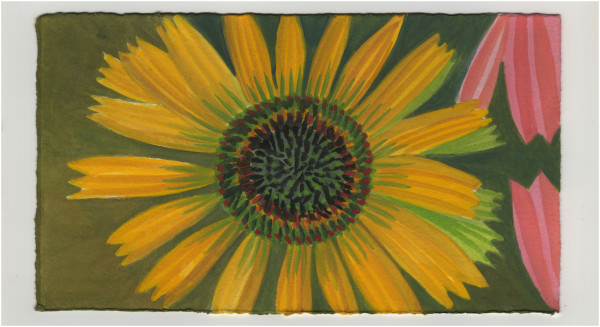 Three Pink Petals. #1311