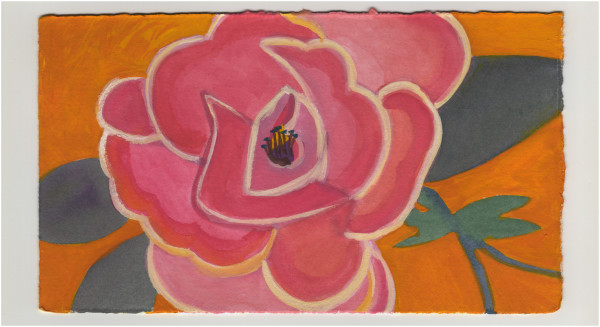 Pink Rose with White Edges. #1314