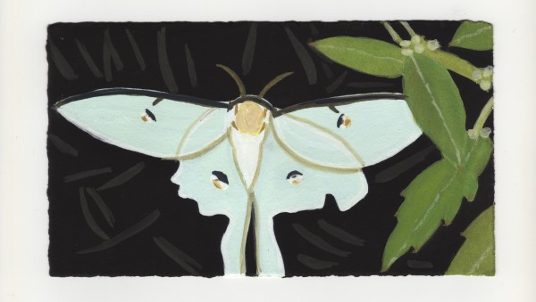 A Luna Moth. #1348