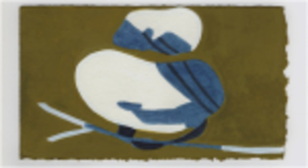 Mushrooms in Some Shade. #1398