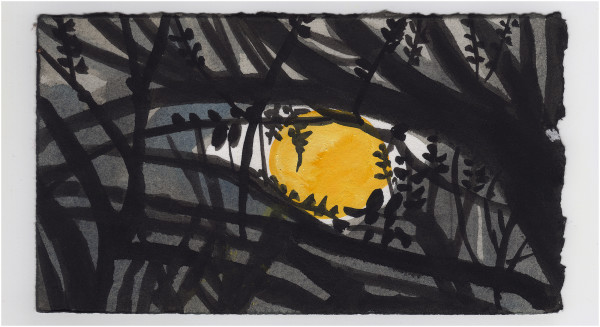 The Full Moon Through the Vine. #1408