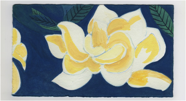 The Gardenias. #1411