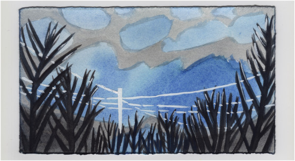 The Clouds Move In. #1436