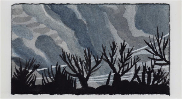 Before it Rained. #1437