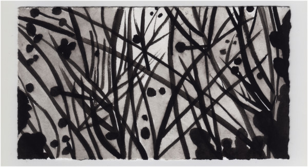 Some Wild Winter Fruit on a Gray Day. #1438