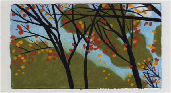 Near the Tow Path at Great Falls. #1442