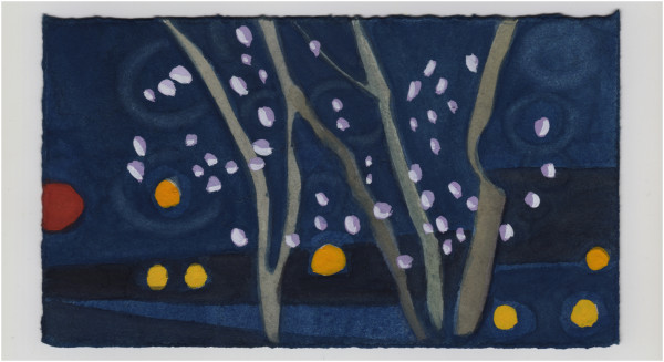 Some Lights and Some Redbud Leaves . #1446