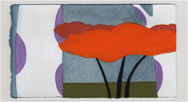 Guard Sycamores and a Colorful Maple. #1452