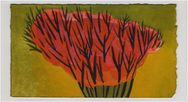 A Colorful Shrub Late Afternoon. #1455