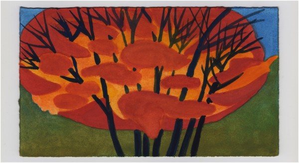 The Zelkova Across the Street on Thanksgiving. #1456