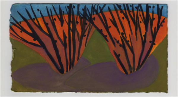 Two Shrubs in the Evening. #1458