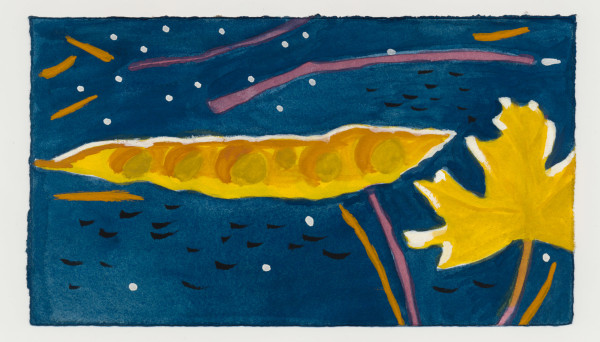 A Pod and a Maple Leaf at Night . #1474