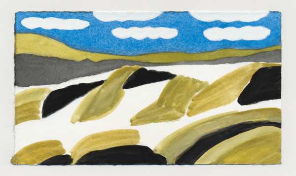 Great Falls with Runoff. #1510