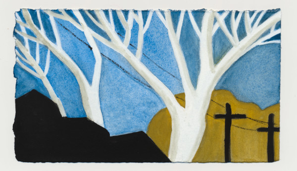 The Sycamores. #1513