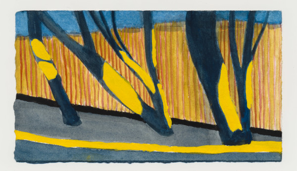 Sunlight on the New Fence. #1521