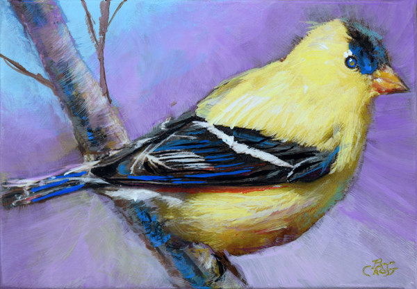 Alluring Goldfinch by Pat Cross