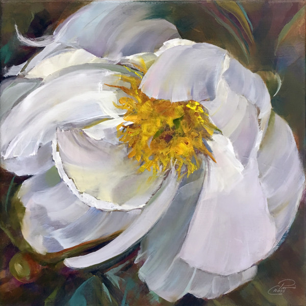 Peony White Delight by Pat Cross