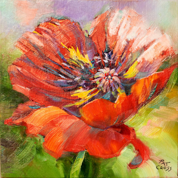 Scarlet Red Poppy by Pat Cross